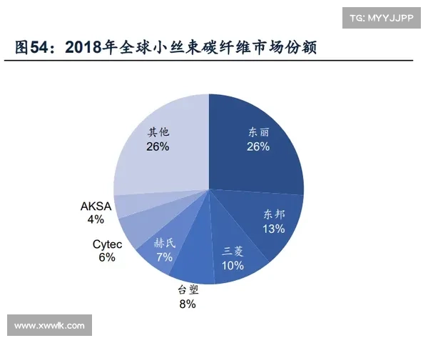 全球叶问系分支达37支 技术体系差异与演变分析报告